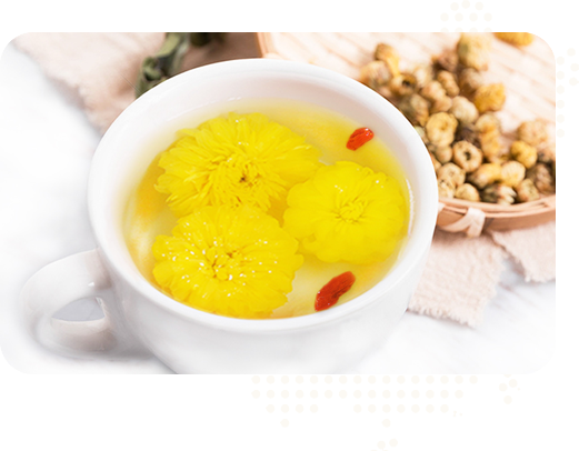 始建于2015年，實(shí)力雄厚