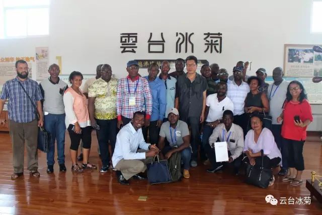 目測(cè)這朵菊花要火，國(guó)外專家為它頻頻而來······