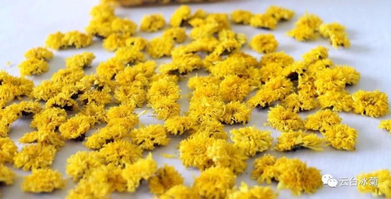 2018，種下希望，靜待花開！